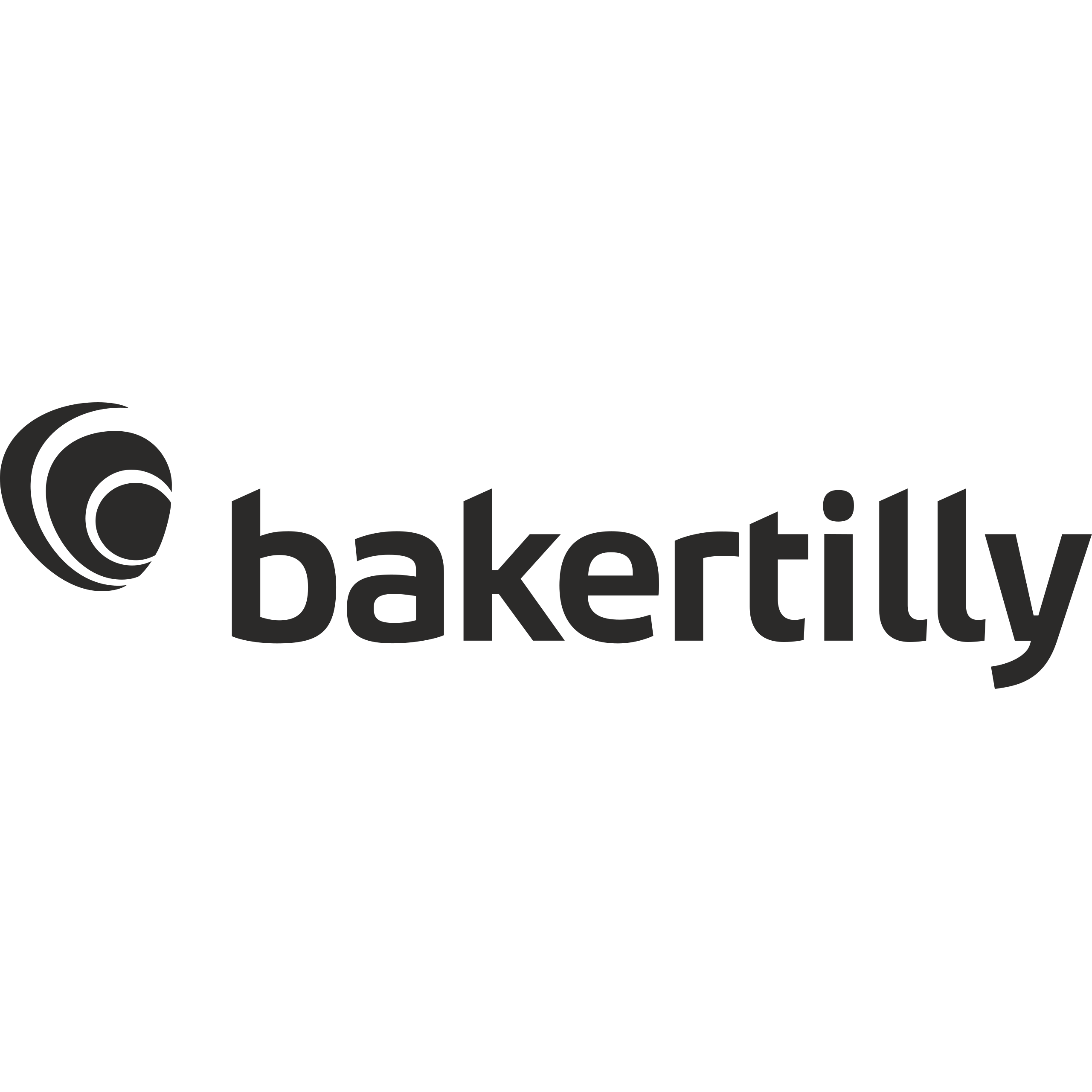 Bakertilly.svg _ De Waterman - duikclub en duikschool 1